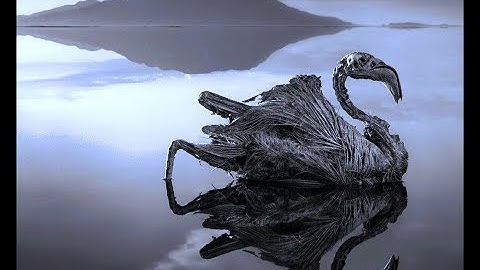 Deadly Lake that turns Animals to Stones | Lake Natron - A Mystery