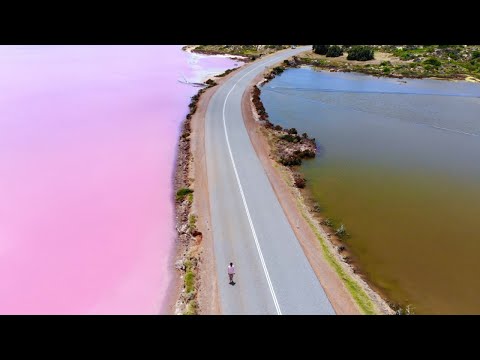 周杰倫 Jay Chou【粉色海洋 Pink Ocean】0 Budget Fans MV
