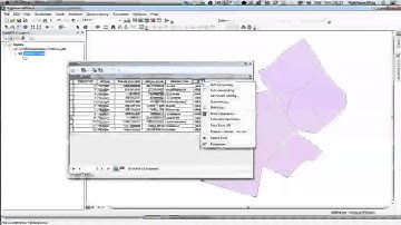 Summary Calculations in ArcMap