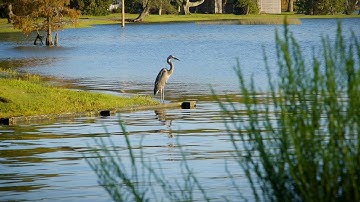 Chesapeake Conservancy Gift Lands Program | Annapolis Video Production by 410 Films