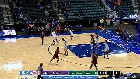 Midwestern State University Womens basketball #3 A...