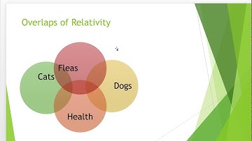 Blogging in Shopify : Using Tags and creating a secondary blog