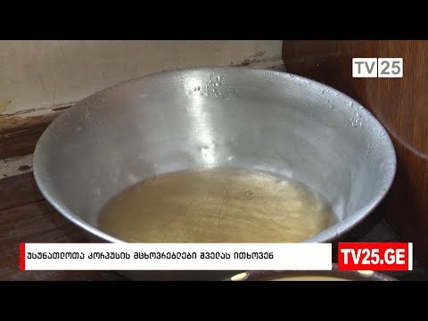 უსინათლოთა კორპუსის მცხოვრებლები შველას ითხოვენ