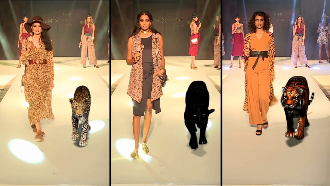 ヒョウや虎 猛獣と歩くファッションショー Arを使った現実ではありえない粋な演出 360度動画 Vrの制作 開発 株式会社アイデアクラウド