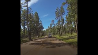 Catching trout and how to clean them! Bear Canyon Lake, AZ