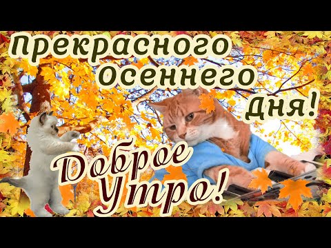 С Добрым Утром! Прекрасного Осеннего Денечка!🍂 Осенний ПРИВЕТИК!🍁