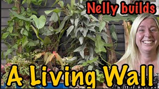 Nelly Builds An Amazing Living Wall Start To Finish With Results. How To Build A Living Wall Dyi