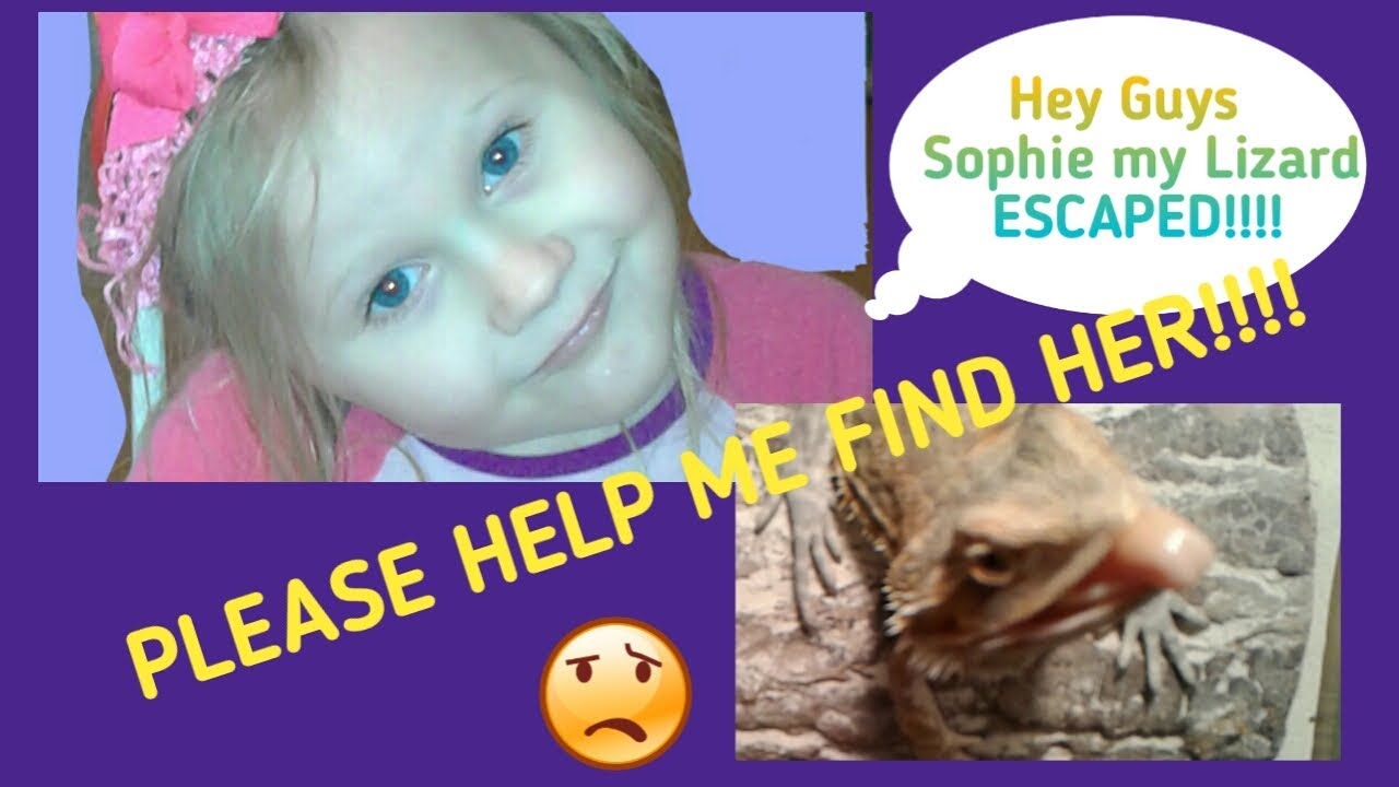 Bearded Dragon Escapes Funny Videos And Eating Hornworm YouTube