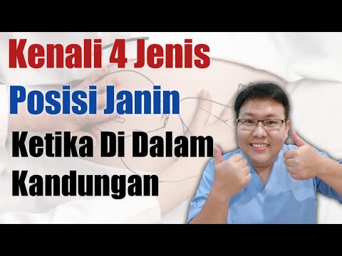 Video: Di manakah letak rahim?