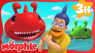 Morphle the Great Red Shark! | Cartoons for Kids | Mila and Morphle