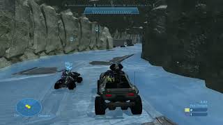 Alpha Hog