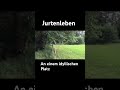 Jurtenleben