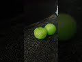 me comí una salchipapa me comí una salchipapa