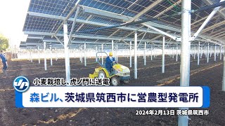 森ビル、茨城県筑西市に営農型発電所＝小麦栽培し、虎ノ門に送電