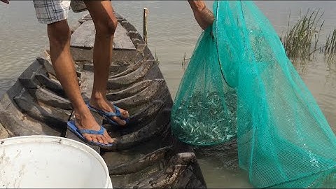 Đi thăm dớn trên ruộng mùa nước nổi ở miền tây