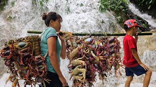 Harvest forest crabs in the rainy season and bring them to the market to sell | Chuc Thi Hong