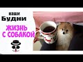 Пришли на Чай к Бабушке |  Жизнь с Собакой