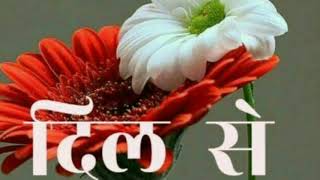 Good morning WhatsApp status video Good morning WhatsApp status video