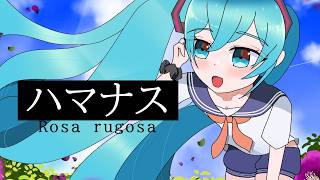 ハマナス/初音ミク