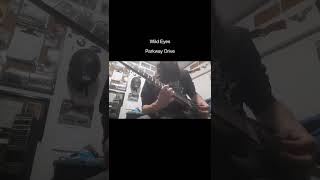 Wild Eyes (Parkway Drive)