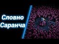 Зубастая Мелкота [Ling Defence] ● StarCraft 2