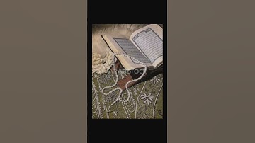آيات الراحة من الشيخ ماهر المعيقلي #المصحف #quran #لايك #الرحمن #القران_الكريم
