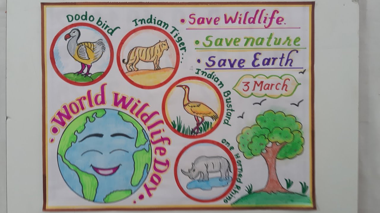 World Wildlife Day Poster Drawing How To Draw World Wildlife Day Chart world-wildlife-day-poster-drawing-how-to-draw-world-wildlife-day-chart