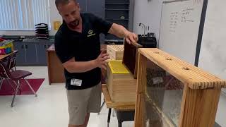 Teaching The Next Generation The Importance Of Saving The Bees