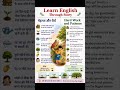 Learn English through story #english