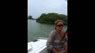 Paseo Por El Alta Mar...yasell