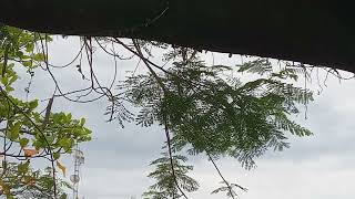 Clima Tempo Rj Agosto