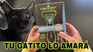 Furminator para gato de pelo corto by Tacaño por las Compras 234 views 5 days ago 5 minutes, 6 seconds