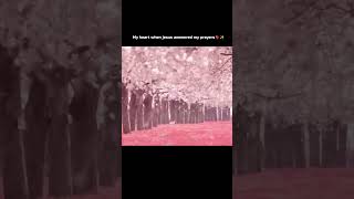 My answered Prayers✝️💗#faith #foryoufeed#jesuschrist#beliver #shortsfeed#ytshorts#viralreelシ #yahova