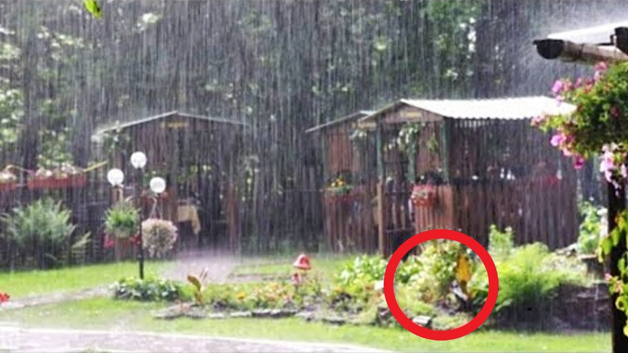 На улице шел сильный дождь, как вдруг они заметили что-то шокирующее ...