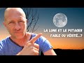 Linfluence de la lune sur nos potagers  vrit croyance business