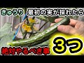 【きゅうり】最初の実を収穫したら必ず行う重要作業！タイミングが遅れると損します