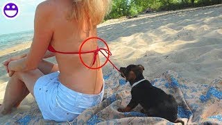 Can't stop laughing 2019 | Funny and funny moments_P3