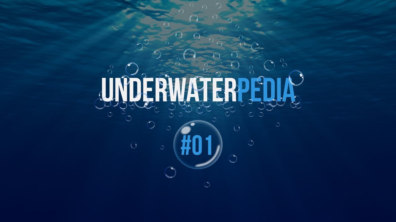 Leonardo Da Vinci's diving suit YouTube