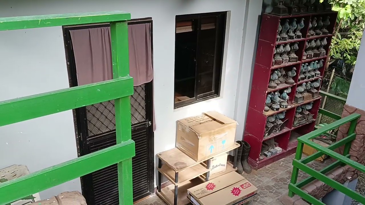 BAZRA LOFT (RMC) PRIDE OF PAMPANGA FANCIER 