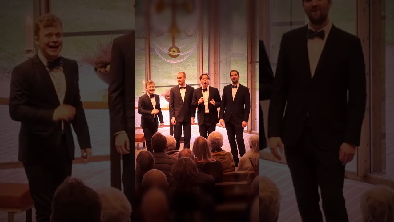 A typical Danish song about a donkey  