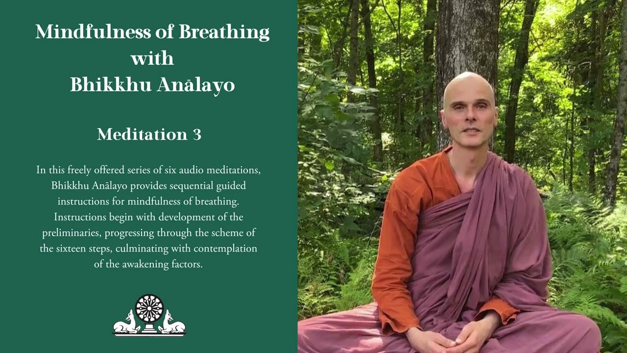 Breathing Buddha Guided Visual Meditation Tool Slow Your Breathing