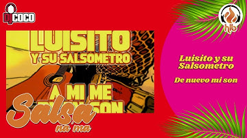 LUISITO Y SU SALSOMETRO - DE NUEVO MI SON - 2024 SALSA DURA, SALSA RAPIDA, HARD SALSA
