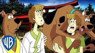 Scooby-Doo! | The Green Dragon 🐲 | WB Kids