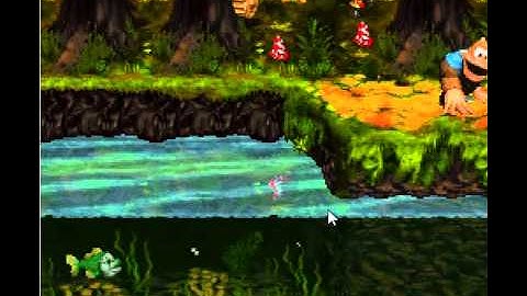 riverside race - donkey kong country 3 105% walkthrough part 8