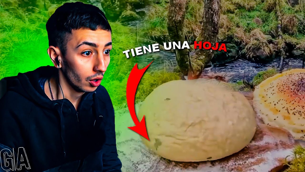 REACCION A COMIDA EN EL BOSQUE