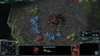StarCraft 2 - [Z] 6 Pool Rush - Strategy