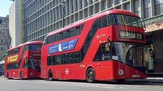 FRV - London Bus Route 73 | Oxford Circus ➡ Stoke Newington | LT495 | LTZ1495 | Arriva London NB4L |