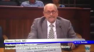 NY State Lyme Disease Hearing with Dr Steven J Bock MD - Part 1 Ny State Lyme Disease Hearing With Dr Steven J Bock Md Part 2
