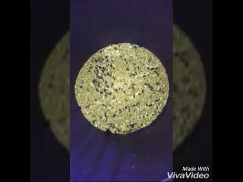 green parrotlet Birds special feed mixture tip in urdu | proper way to give birds food