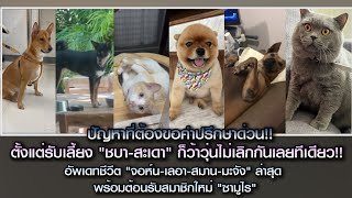 ปัญหาที่ต้องขอคำปรึกษาด่วน! ตั้งแต่รับเลี้ยง 